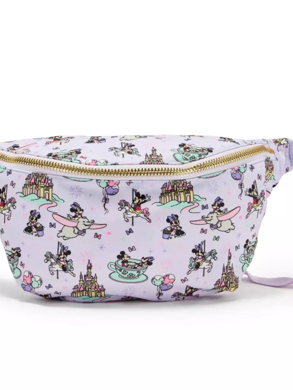 Stony Clover SOLD OUT crossbody/fanny pack